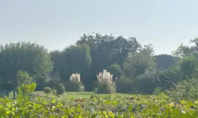 Недвижимость Villa La Roubine: 20