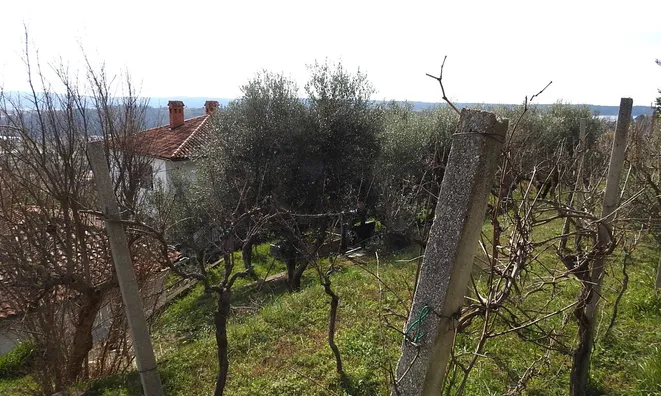 Недвижимость Дом, Лучия, Камполин: 4