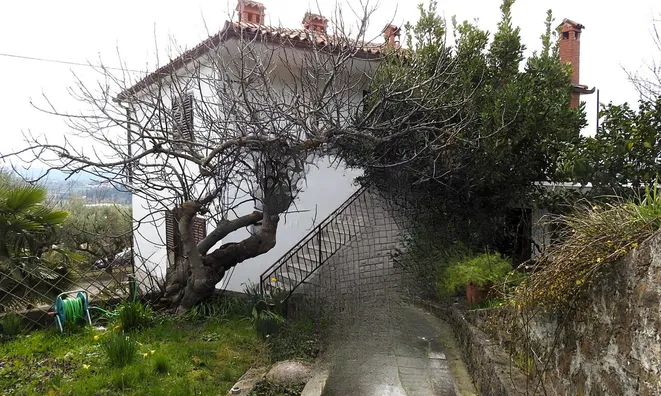 Недвижимость Дом, Лучия, Камполин: 6