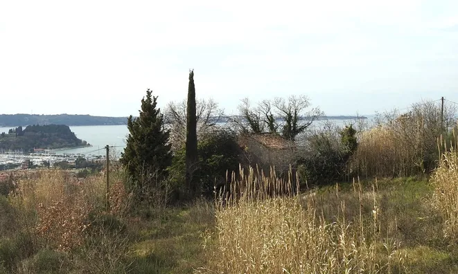 Недвижимость Дом, Лучия, Камполин: 15