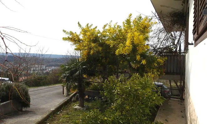 Недвижимость Дом, Лучия, Камполин: 30