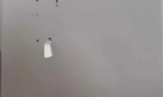 Недвижимость House Cannes: 15