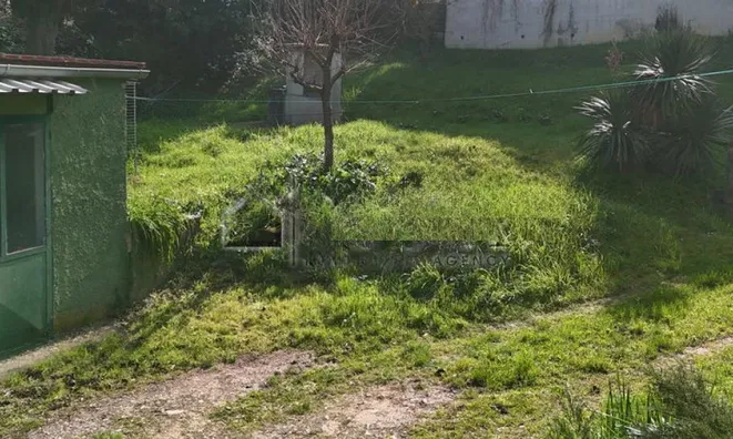 Недвижимость Дом в Копере: 12