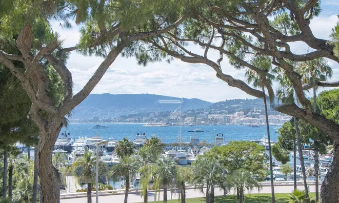 Недвижимость House Pointe Croisette: 2