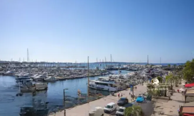 Недвижимость Villa Suquet Cannes: 5