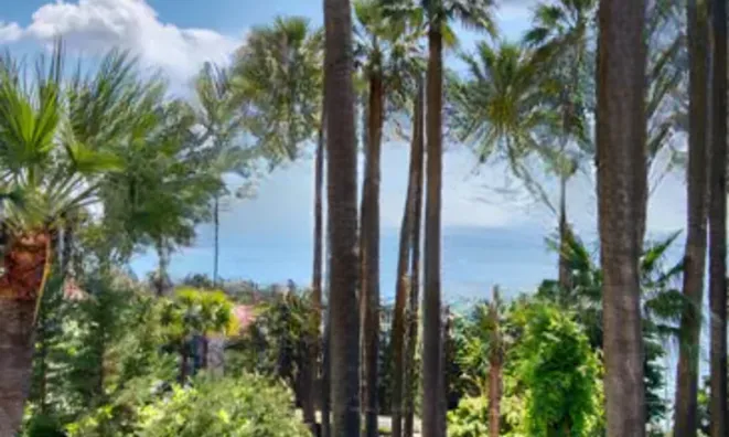 Недвижимость Villa Cannes: 3