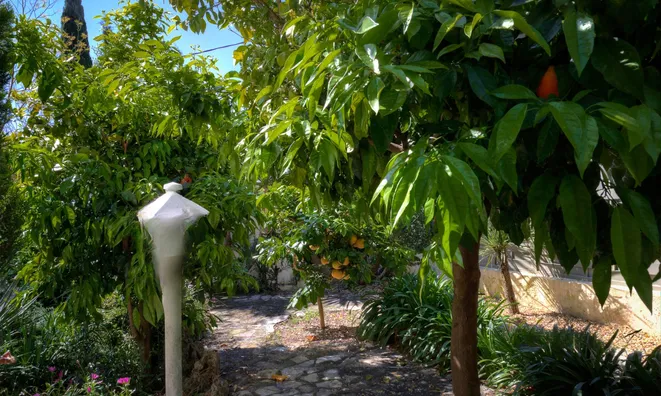 Недвижимость Villa Mougins: 6