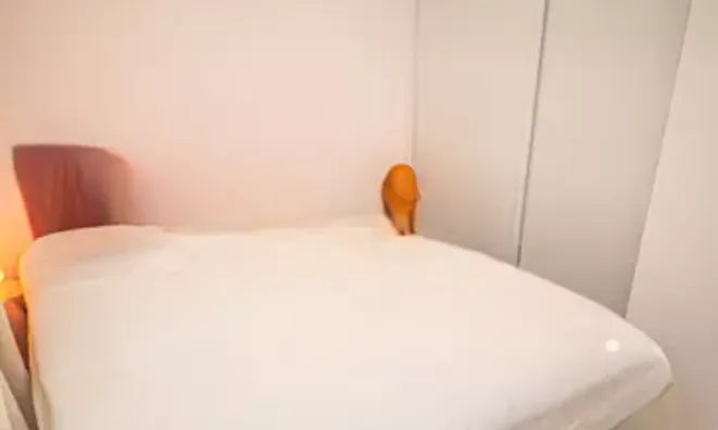 Недвижимость Villa Petit Juas: 9