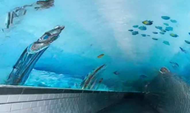 Недвижимость Villa La Bocca: 15