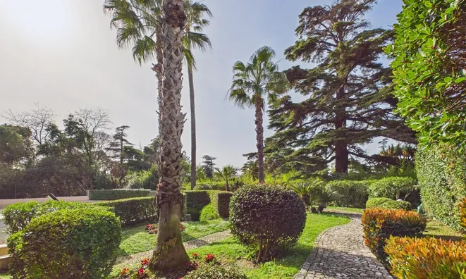 Недвижимость Villa Cannes: 10