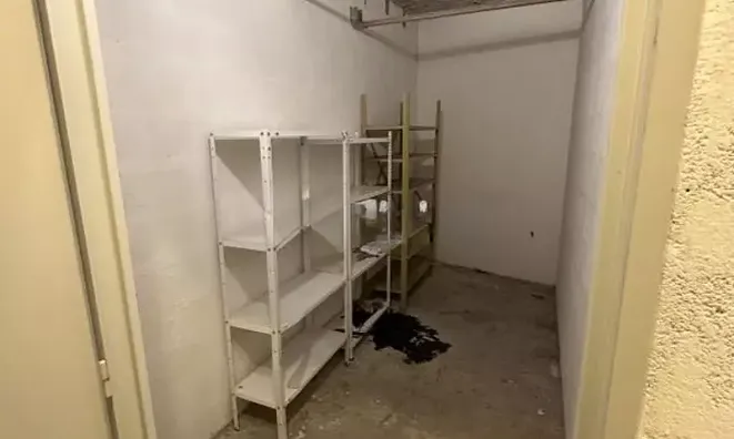 Недвижимость Villa Cannes: 28