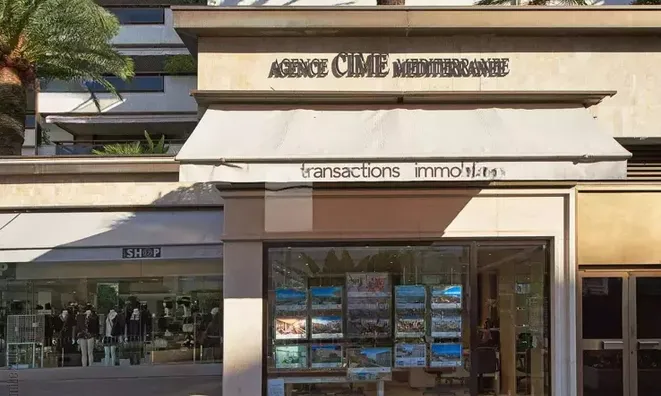 Недвижимость Villa Cannes Centreville: 10