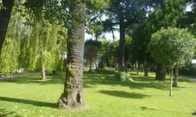 Недвижимость Villa Cannes: 11