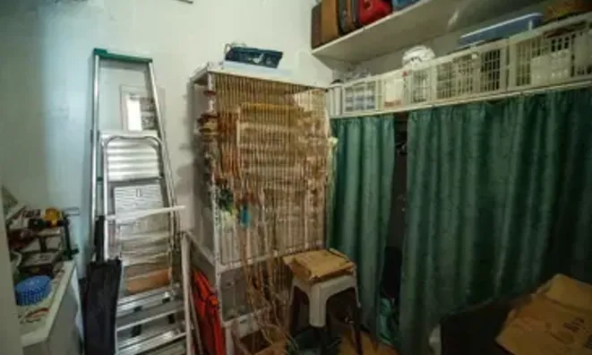 Недвижимость Villa Petit Juas: 8