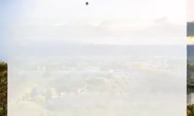 Недвижимость Villa Cannes Centre-ville: 9