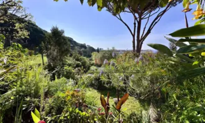 Недвижимость Villa Cannes Croix des Gardes: 5