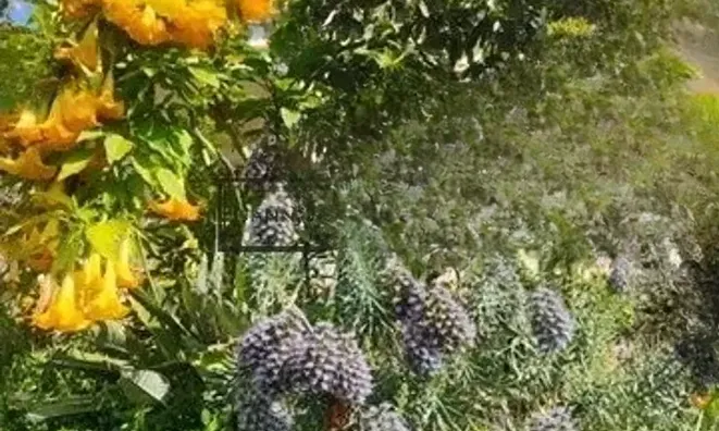 Недвижимость Villa Cannes Croix des Gardes: 19