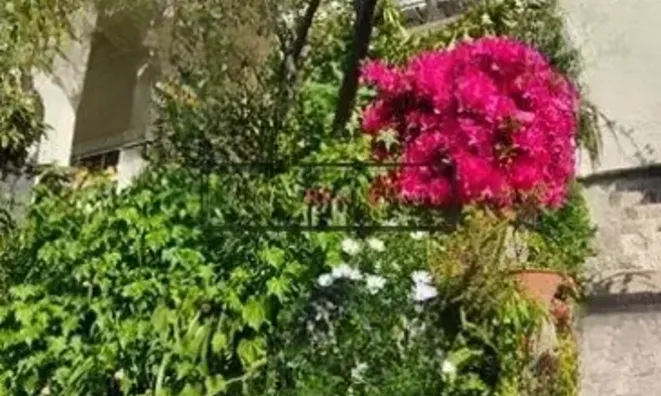 Недвижимость Villa Cannes Croix des Gardes: 20