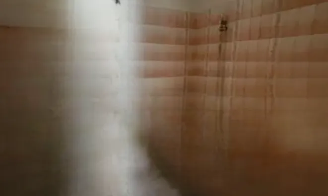 Недвижимость Villa Carnot Cannes: 12