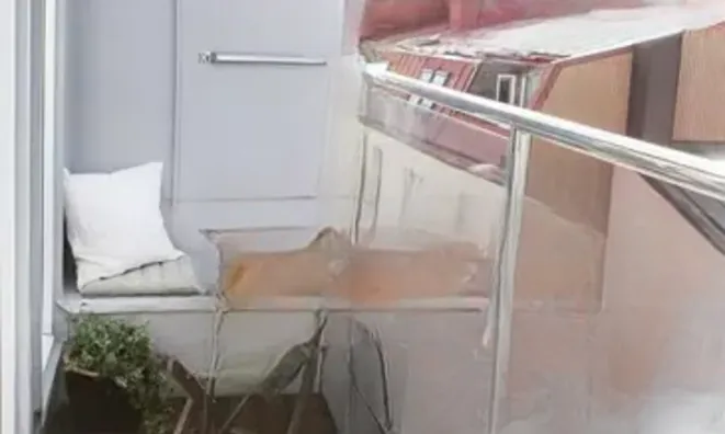 Недвижимость Estate Cannes Centre-Ville: 5