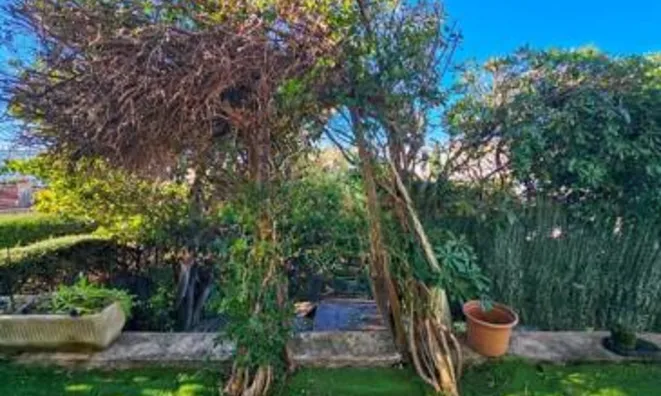 Недвижимость Estate Cannes: 12