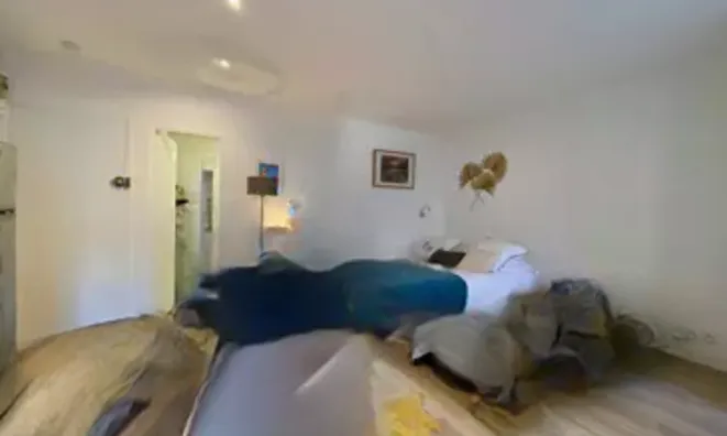 Недвижимость Villa République Cannes: 3