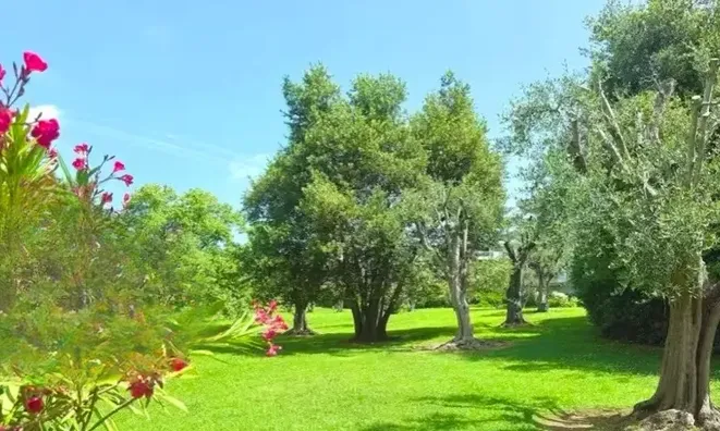 Недвижимость House Cannes: 4