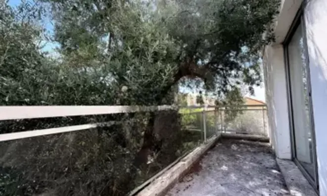 Недвижимость House Cannes République: 8