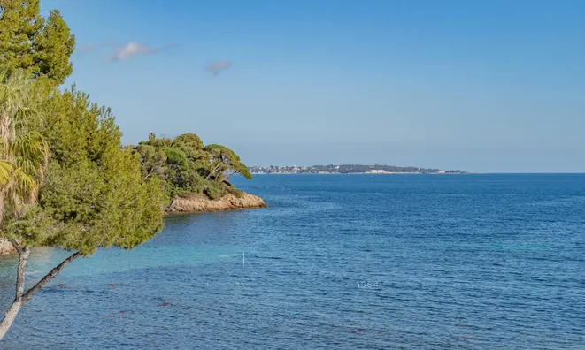 Недвижимость Villa Cannes Centre-ville: 3