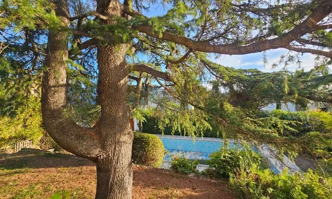 Недвижимость Villa Cannes: 7