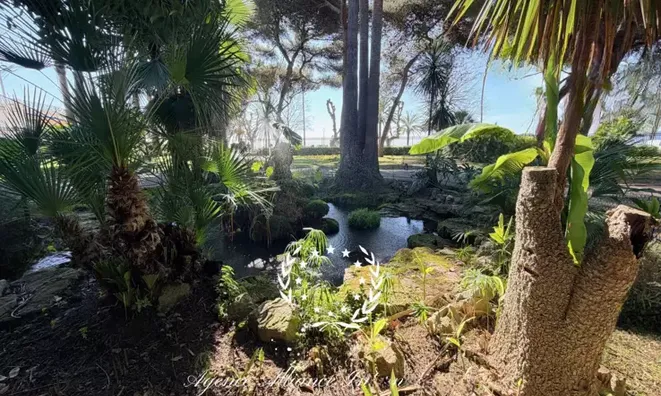 Недвижимость Villa Suquet Cannes: 7