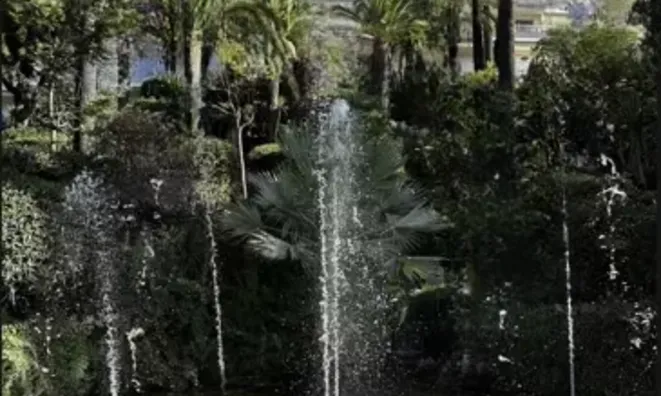 Недвижимость Villa Cannes: 9