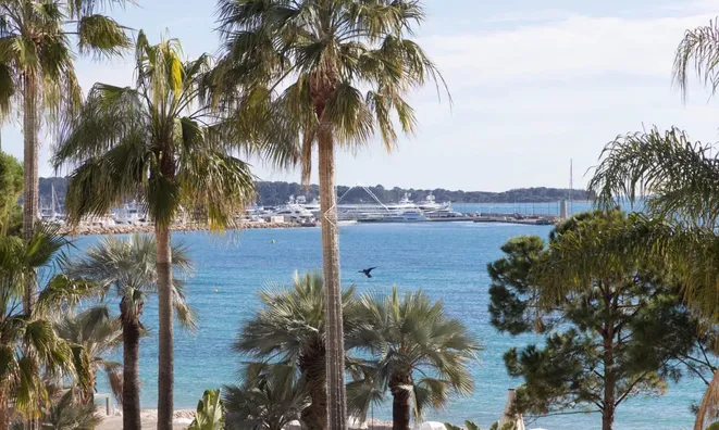 Недвижимость Villa Cannes Centre-ville: 2