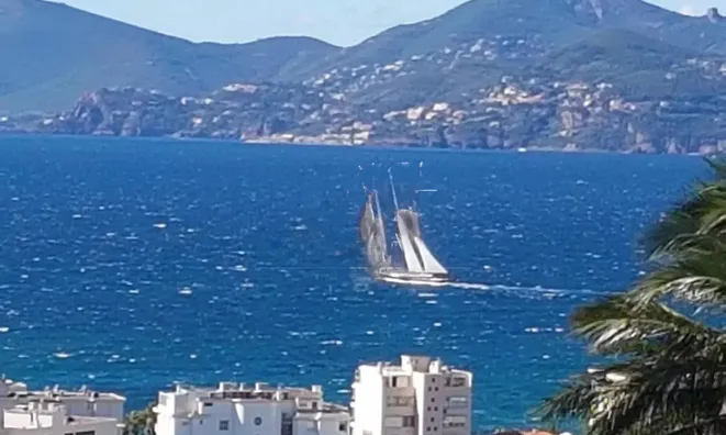 Недвижимость Villa Cannes: 2