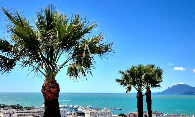 Недвижимость Villa Cannes: 3