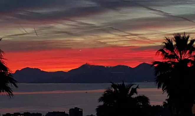 Недвижимость Villa Cannes: 13