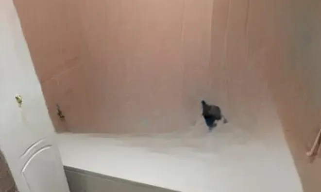 Недвижимость Apartment Cannes Croix Gardes: 12