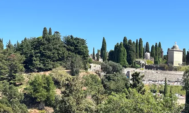 Недвижимость Apartment Cannes Croix Gardes: 20