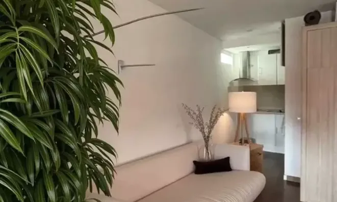 Недвижимость Property Cannes: 7