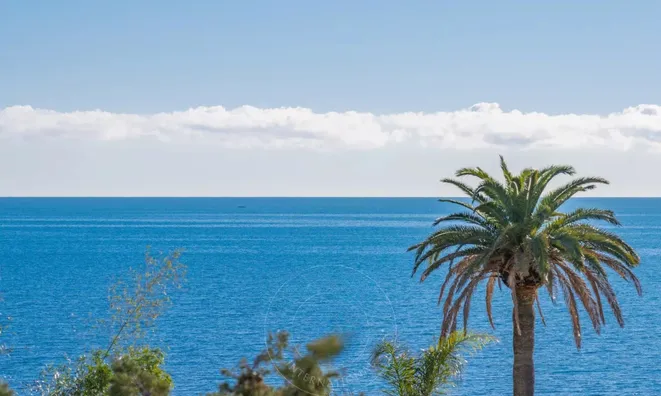 Недвижимость Apartment Pointe Croisette: 21