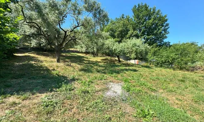 Недвижимость Villa Cannes: 4