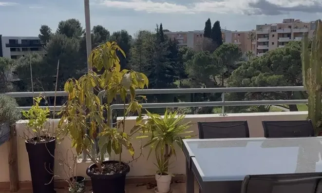 Недвижимость Estate Cannes: 13