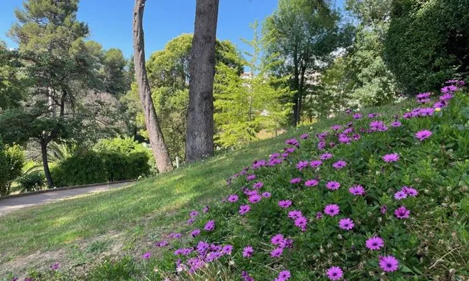 Недвижимость Estate Cannes: 16