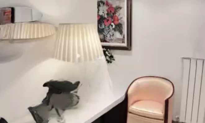 Недвижимость Villa Maurice Jeanpierre: 6