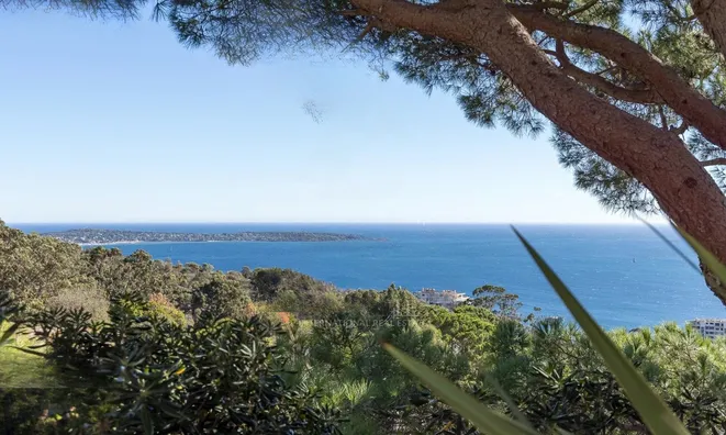 Недвижимость Villa Cannes: 3