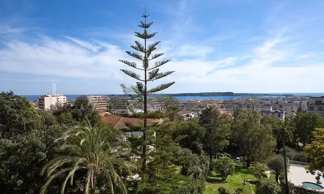 Недвижимость Villa Pointe Croisette: 13