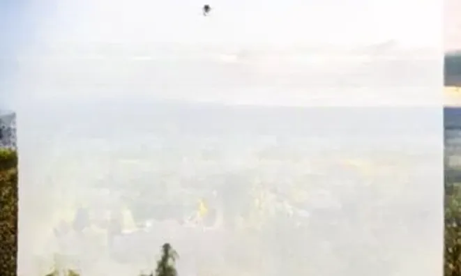 Недвижимость Villa Carnot Cannes: 9