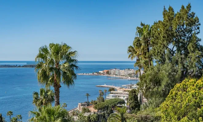 Недвижимость Estate Cannes: 8
