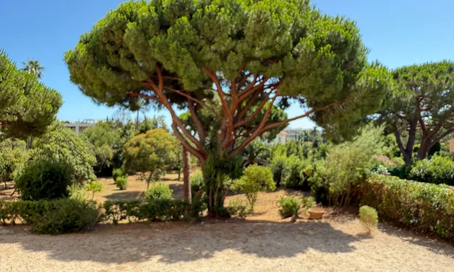 Недвижимость Villa Pointe Croisette: 11