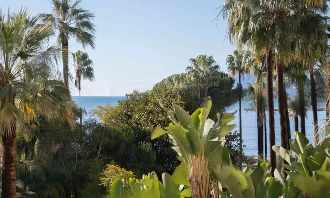 Недвижимость Villa Cannes Centre-ville: 20